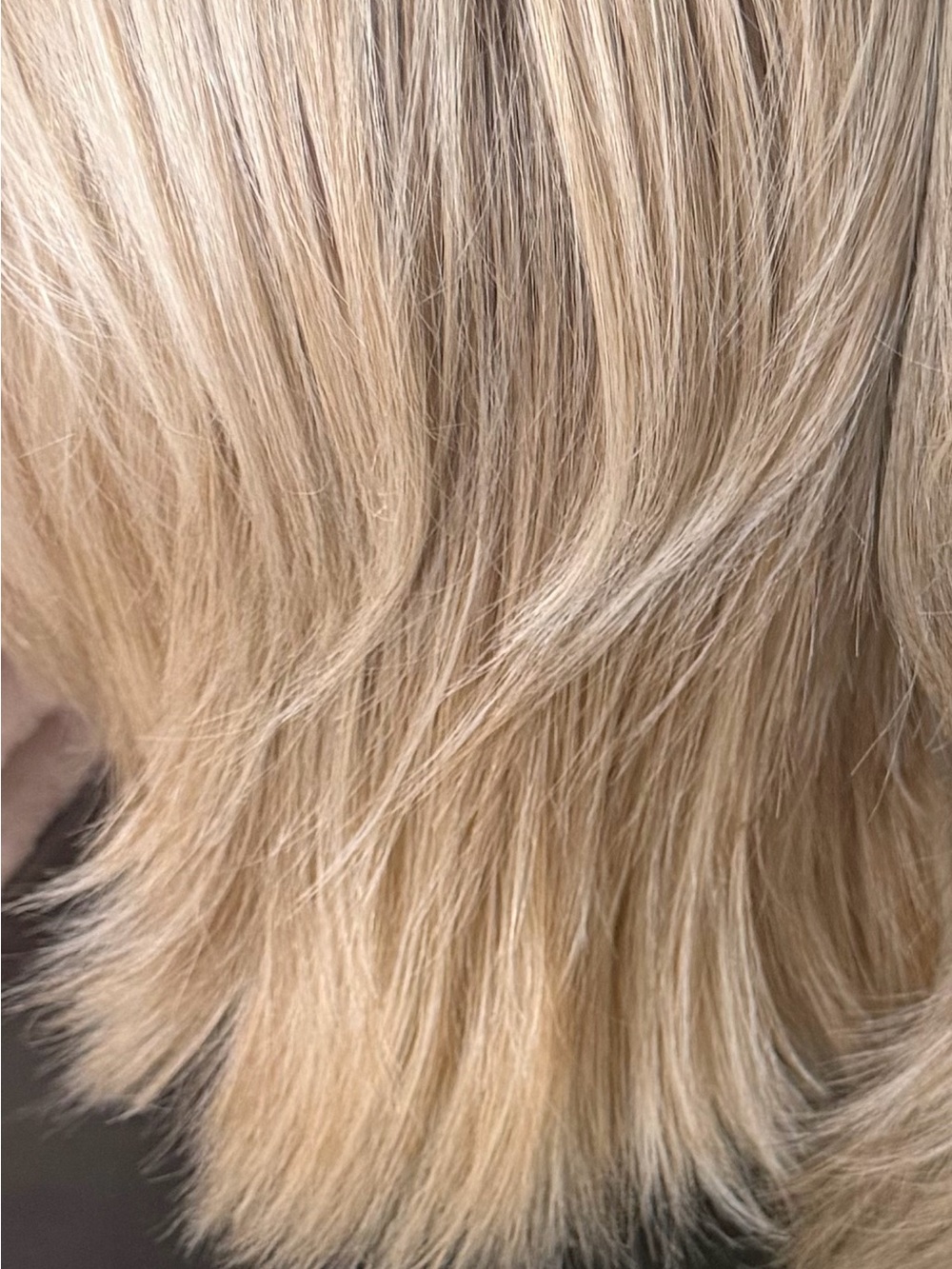 Layered Women's Wig in Natural Ash Blonde Big Time by Raquel Welch - Picture 10 of 10